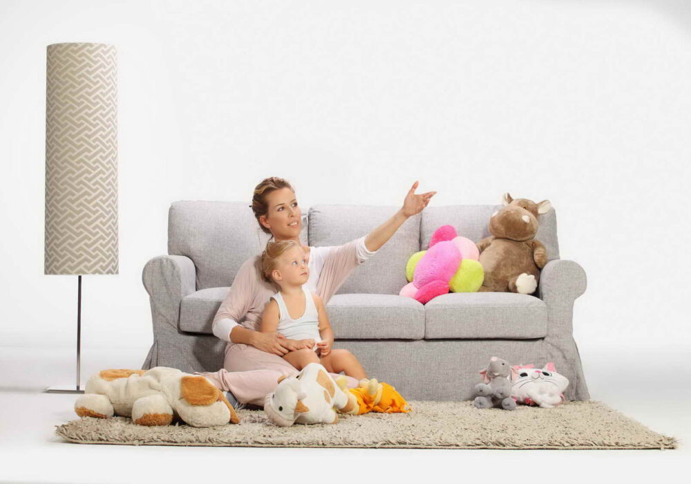 Area Rug Cleaning service