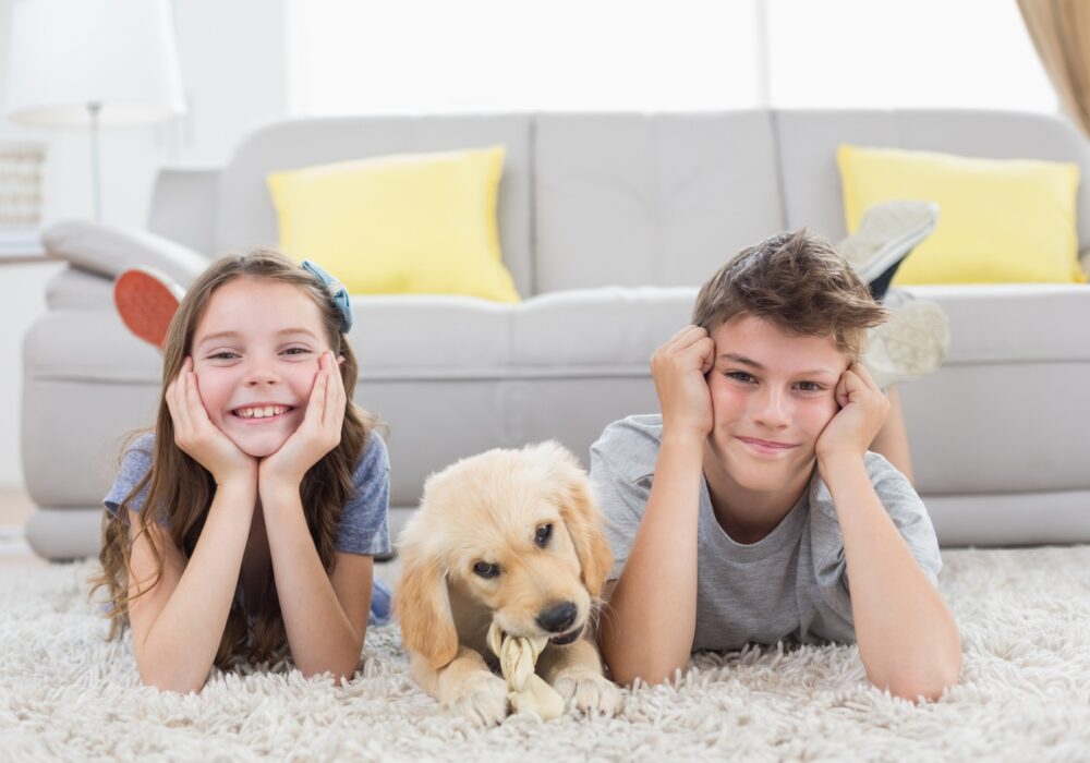oriental rug cleaning